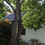 El Jardin De Azahar